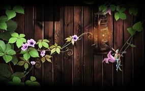 长在木板上的牵牛花藤动画